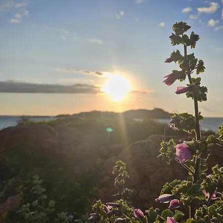 Il Dolce Tramonto * Trinita d'Agultu e Vignola