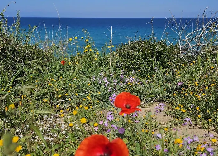 公寓 Il Dolce Tramonto