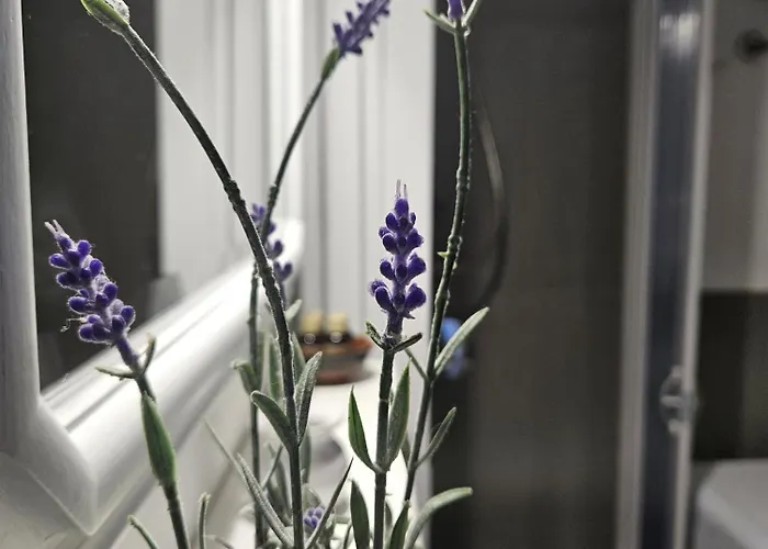 Il Dolce Tramonto 公寓 Trinità dʼAgultu