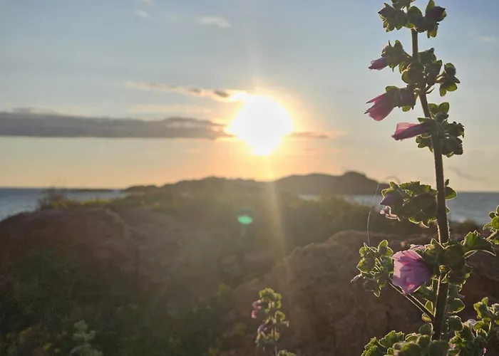 Il Dolce Tramonto * Trinità dʼAgultu